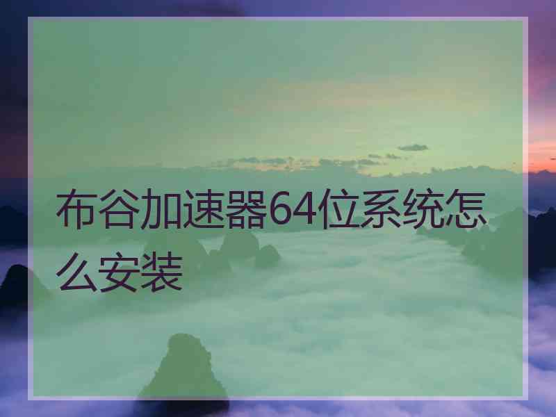 布谷加速器64位系统怎么安装