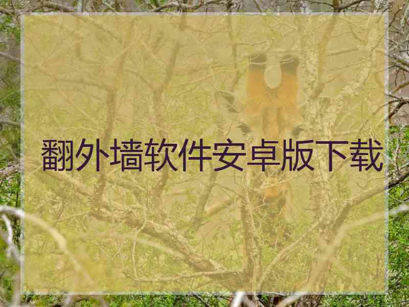 翻外墙软件安卓版下载