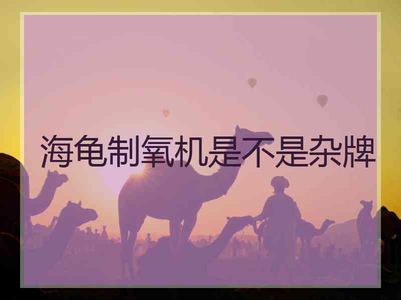 海龟制氧机是不是杂牌