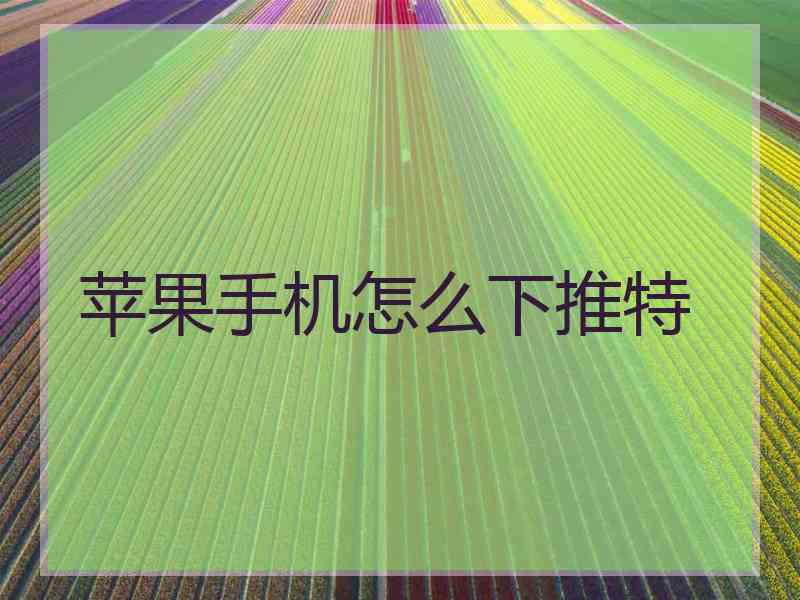 苹果手机怎么下推特