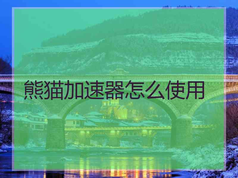 熊猫加速器怎么使用