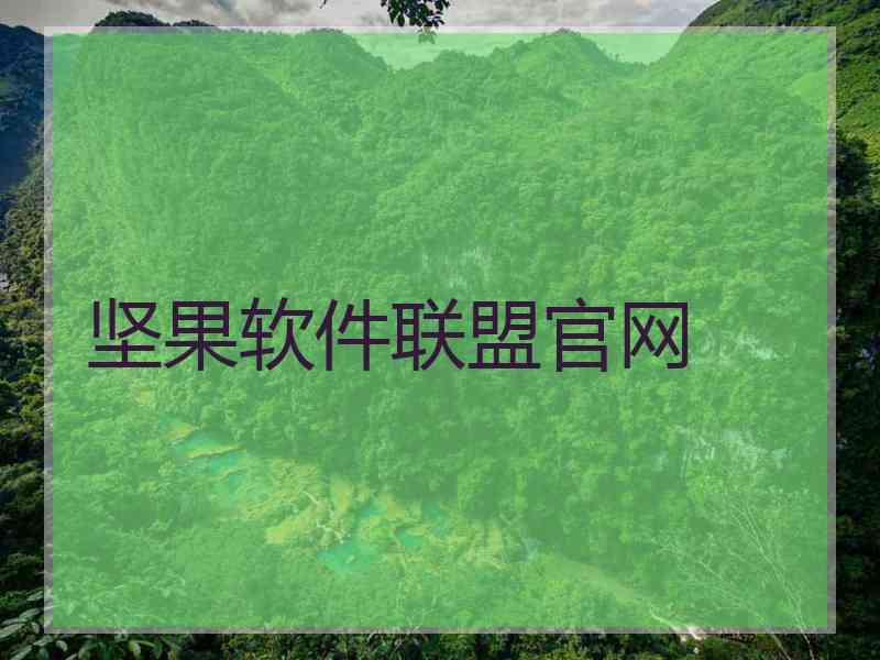坚果软件联盟官网