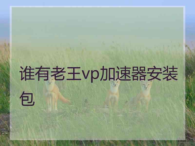 谁有老王vp加速器安装包