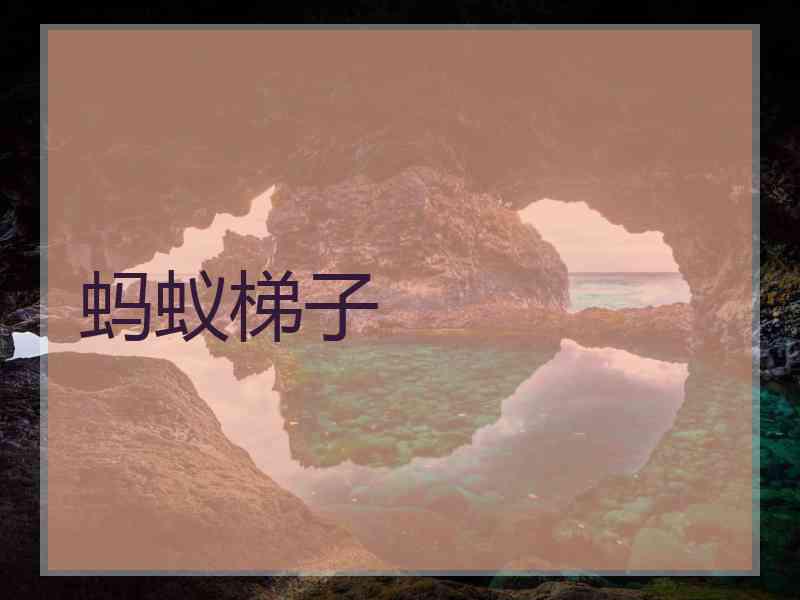 蚂蚁梯子