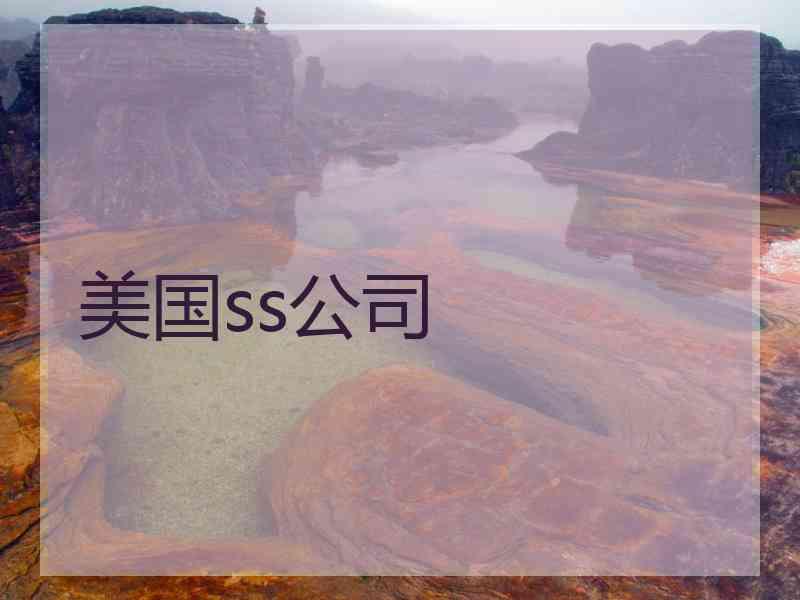 美国ss公司