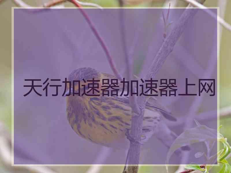 天行加速器加速器上网