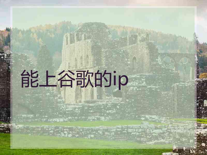 能上谷歌的ip