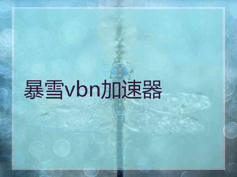 暴雪vbn加速器
