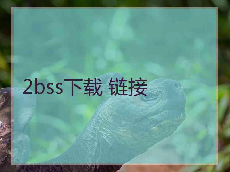 2bss下载 链接