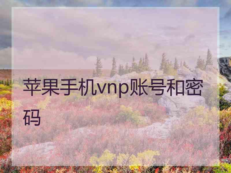 苹果手机vnp账号和密码