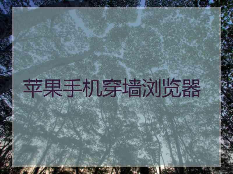 苹果手机穿墙浏览器