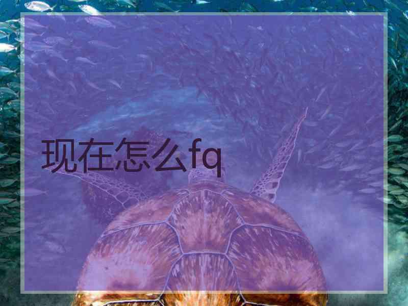 现在怎么fq