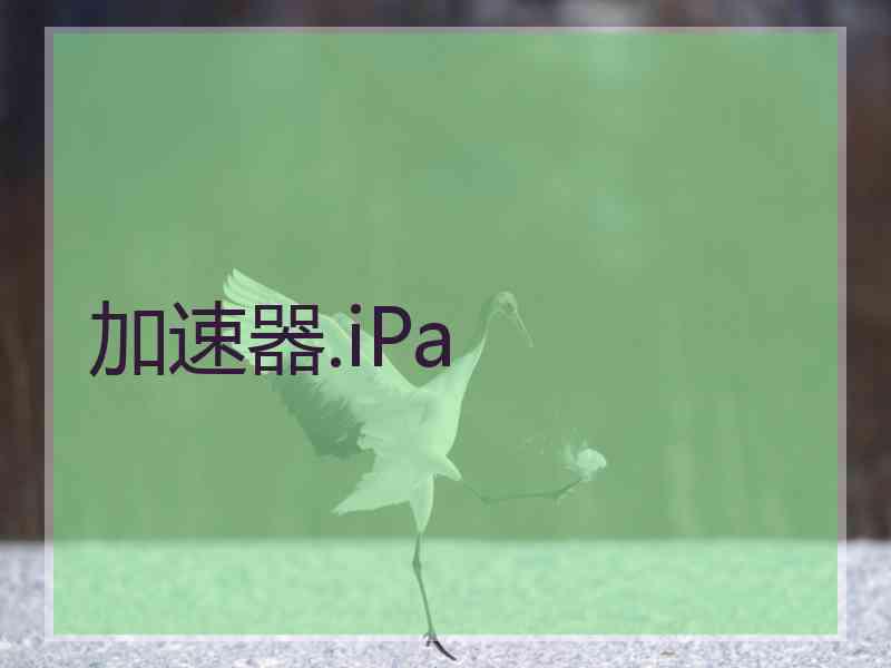 加速器.iPa
