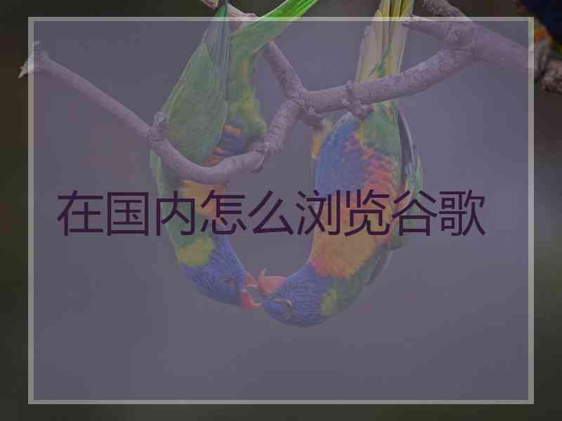 在国内怎么浏览谷歌