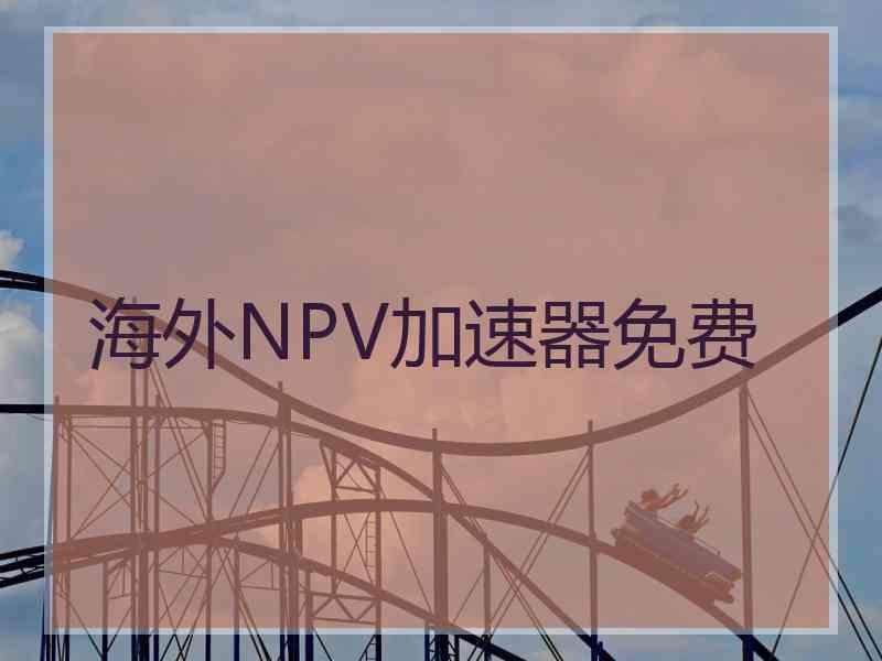 海外NPV加速器免费