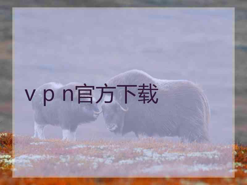 v p n官方下载