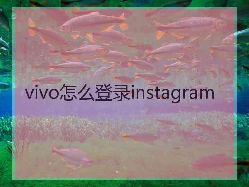 vivo怎么登录instagram