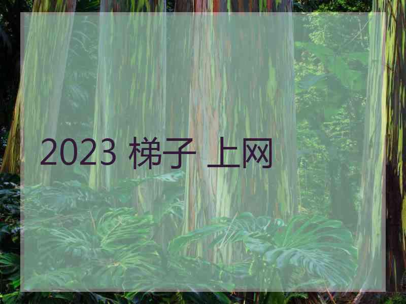 2023 梯子 上网