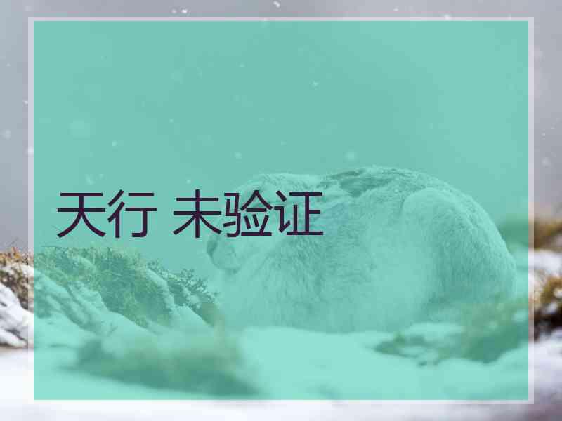 天行 未验证