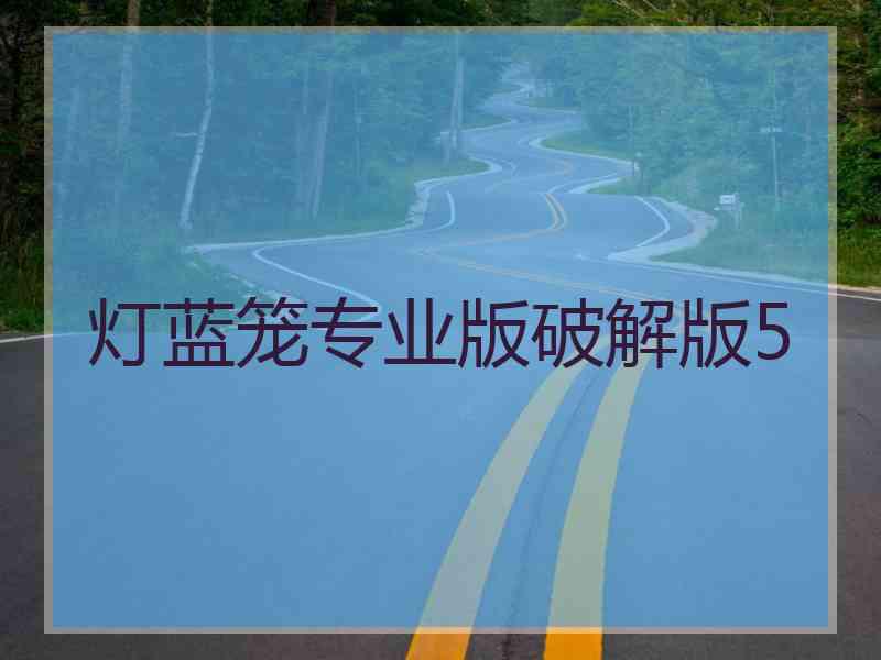 灯蓝笼专业版破解版5