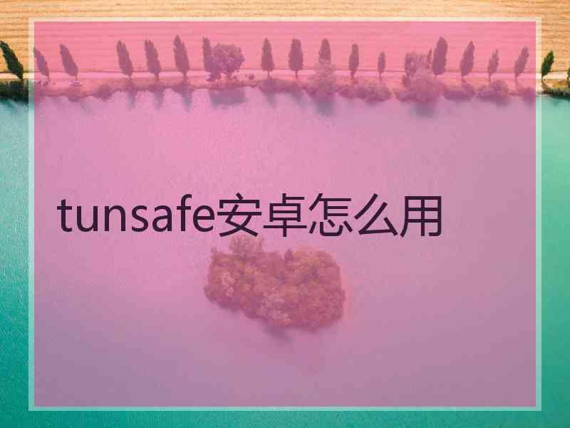 tunsafe安卓怎么用