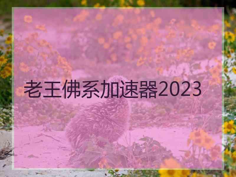 老王佛系加速器2023