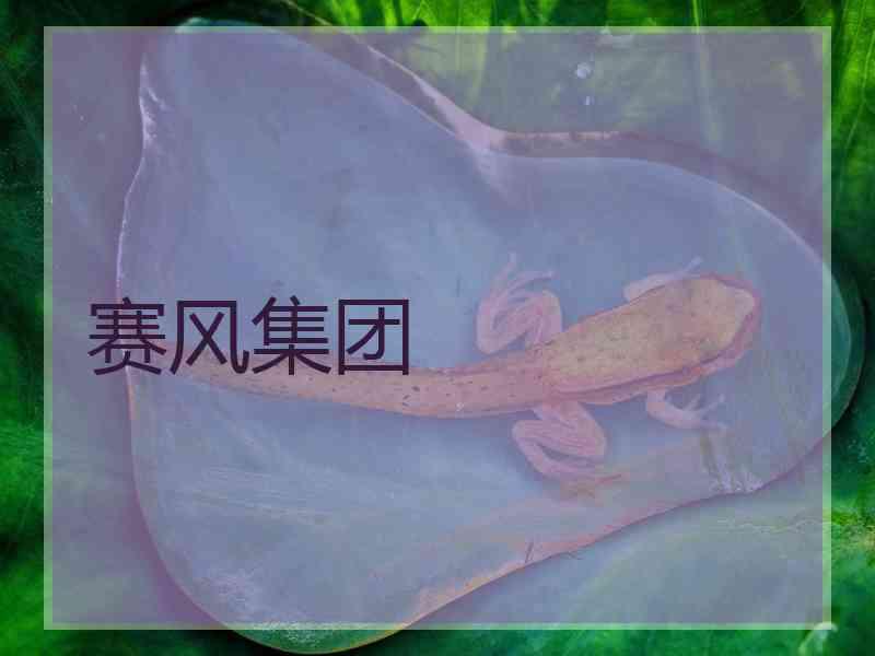 赛风集团