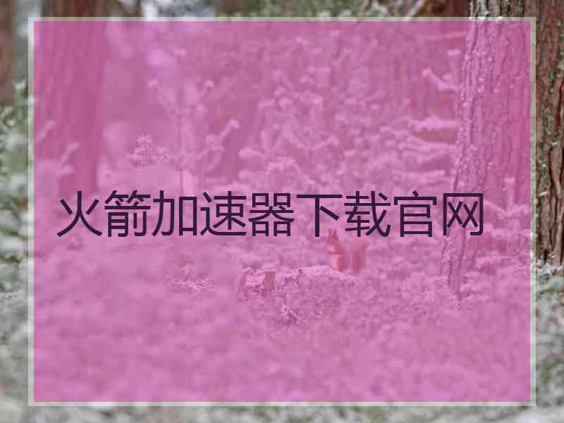火箭加速器下载官网