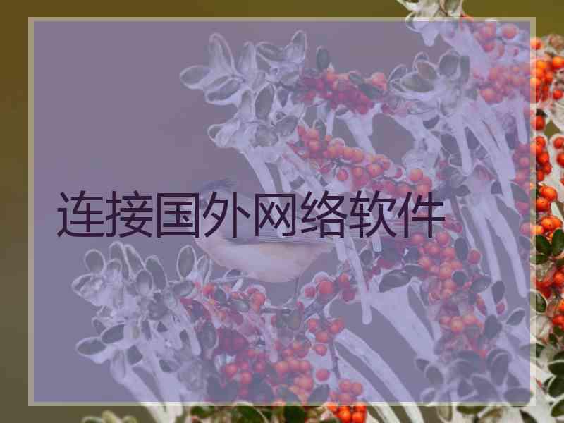 连接国外网络软件