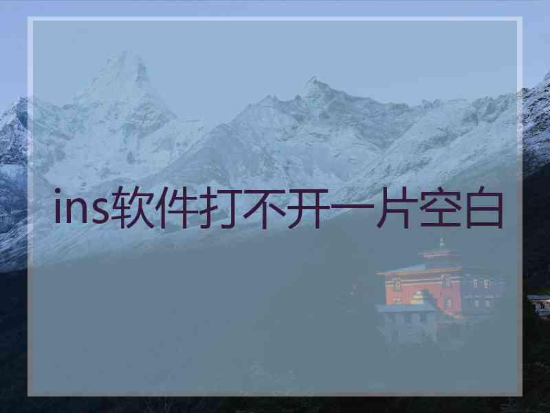 ins软件打不开一片空白