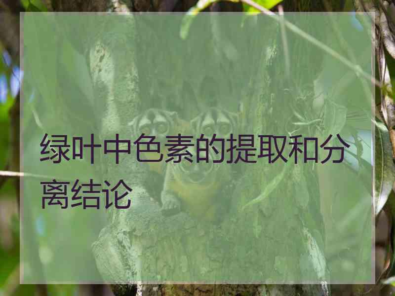 绿叶中色素的提取和分离结论