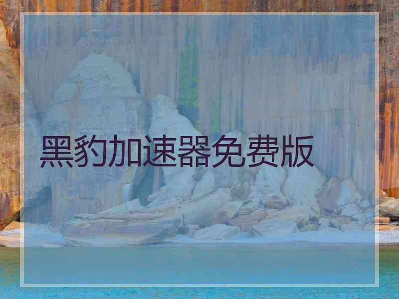 黑豹加速器免费版