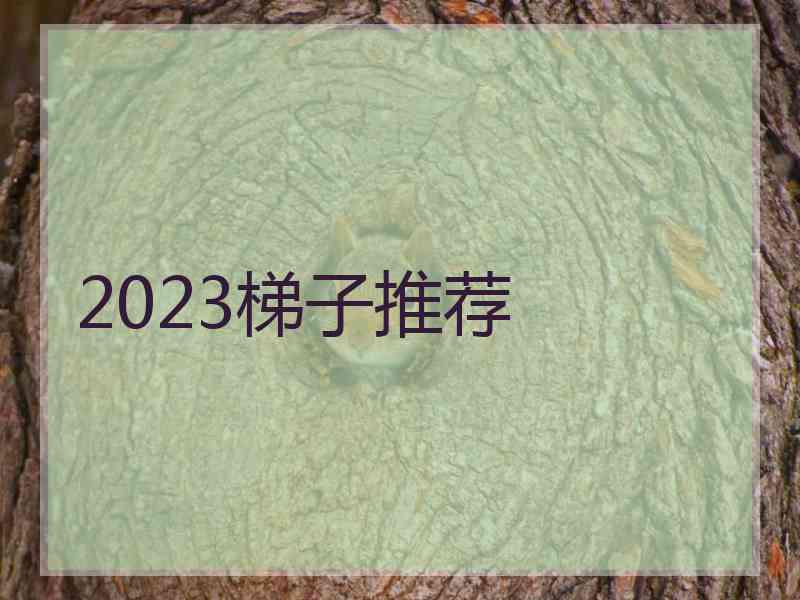 2023梯子推荐