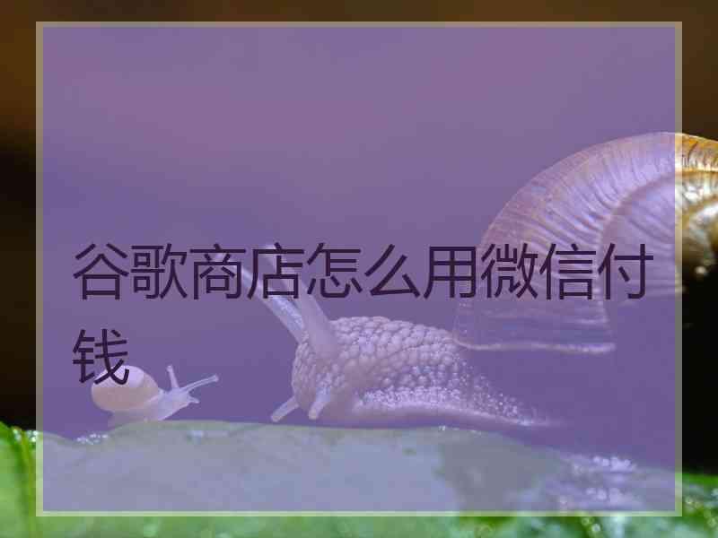 谷歌商店怎么用微信付钱
