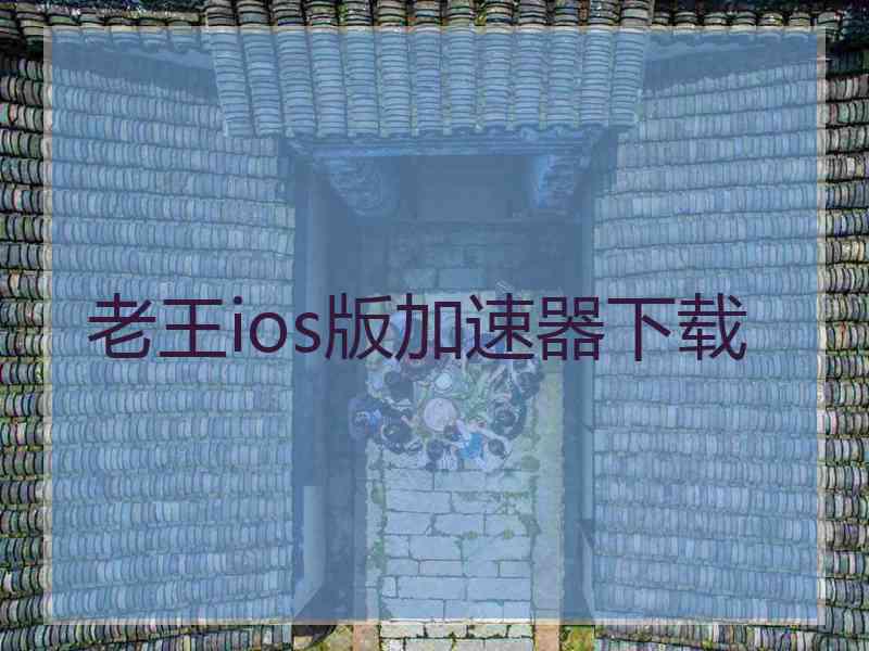 老王ios版加速器下载
