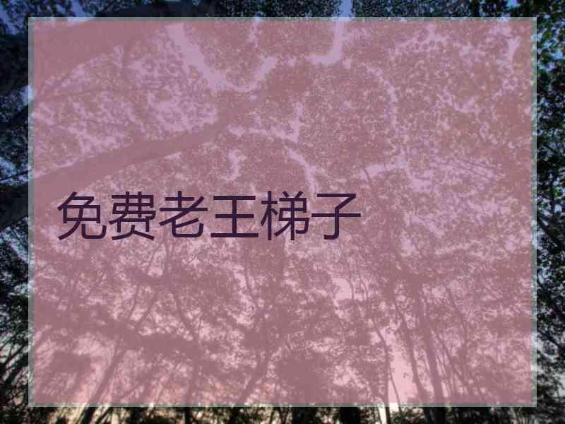 免费老王梯子