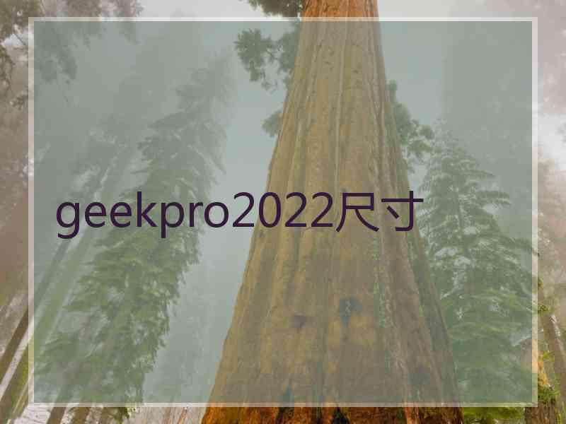 geekpro2022尺寸