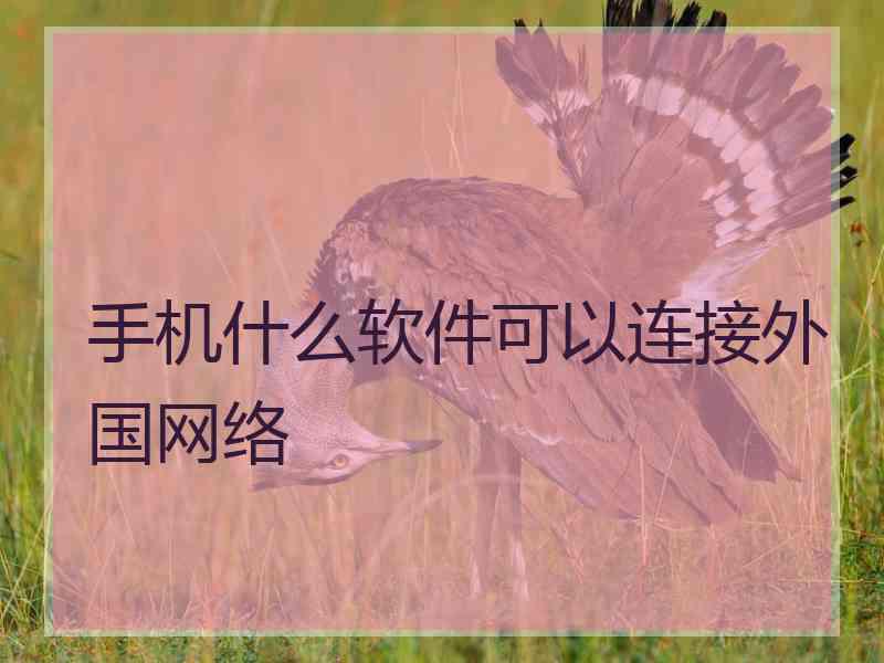 手机什么软件可以连接外国网络