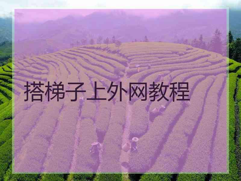 搭梯子上外网教程