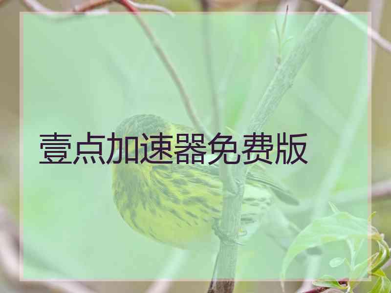 壹点加速器免费版