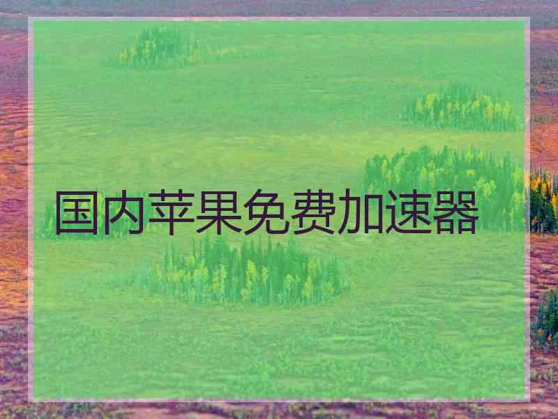 国内苹果免费加速器
