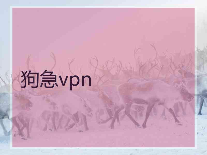 狗急vpn