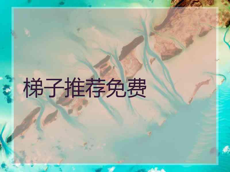 梯子推荐免费
