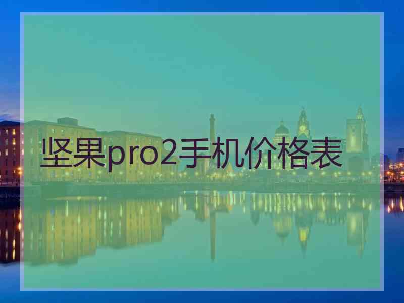 坚果pro2手机价格表