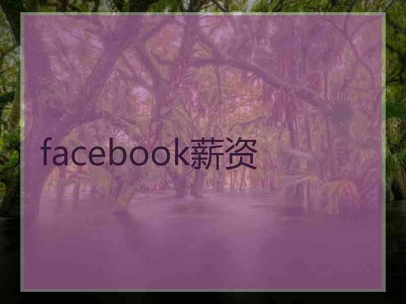 facebook薪资
