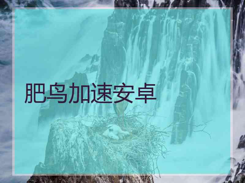 肥鸟加速安卓