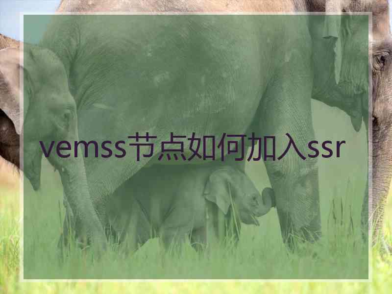 vemss节点如何加入ssr