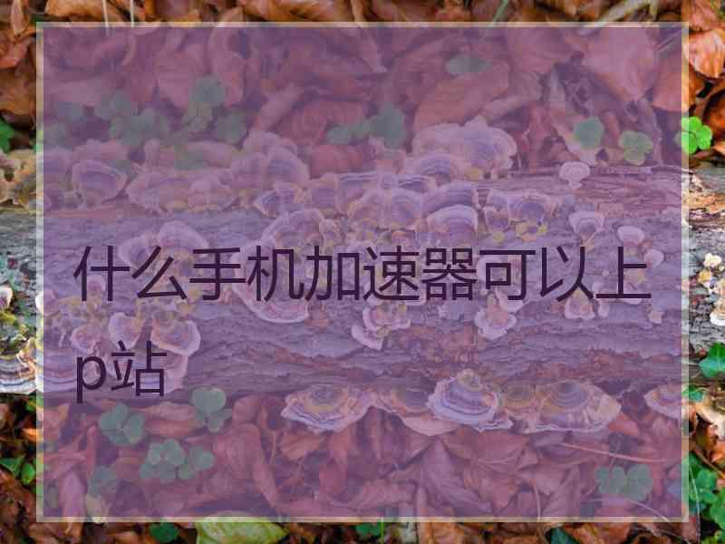 什么手机加速器可以上p站