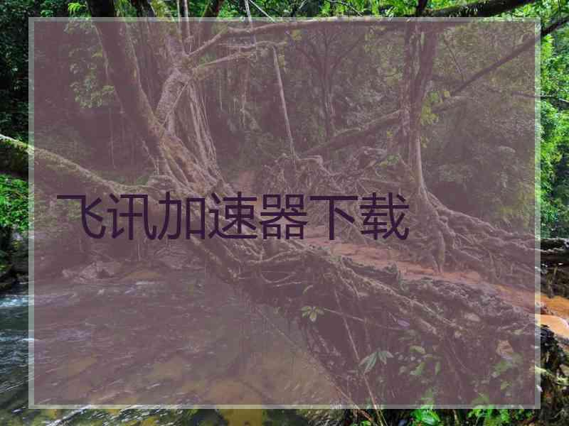 飞讯加速器下载