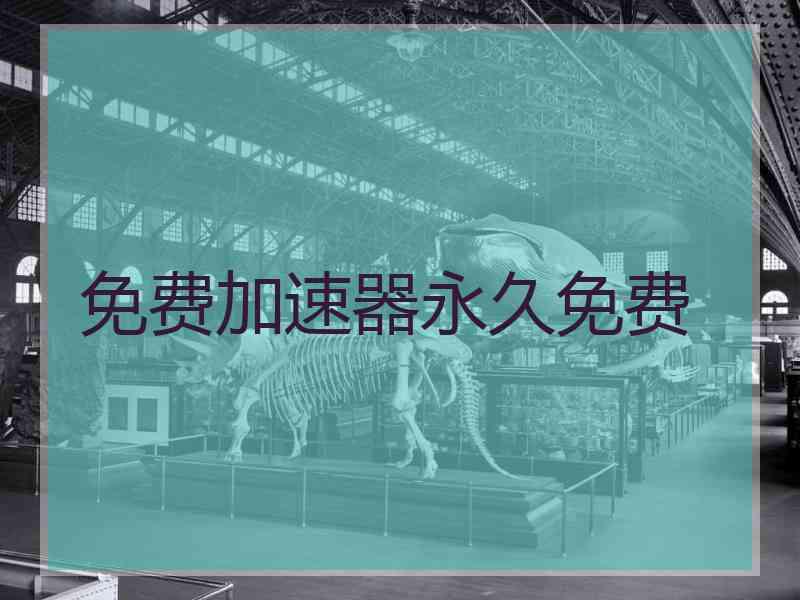 免费加速器永久免费